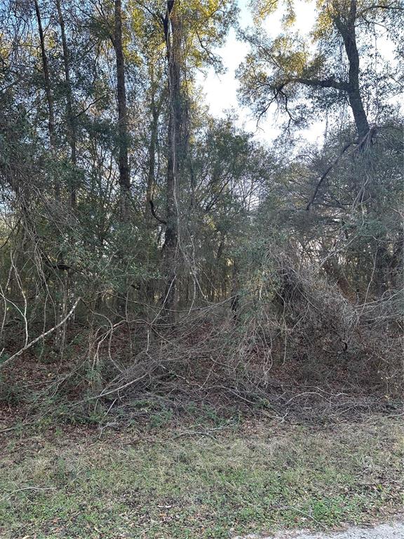 Property for sale at 8276 N ELIDA AVENUE, DUNNELLON, FL, 34434