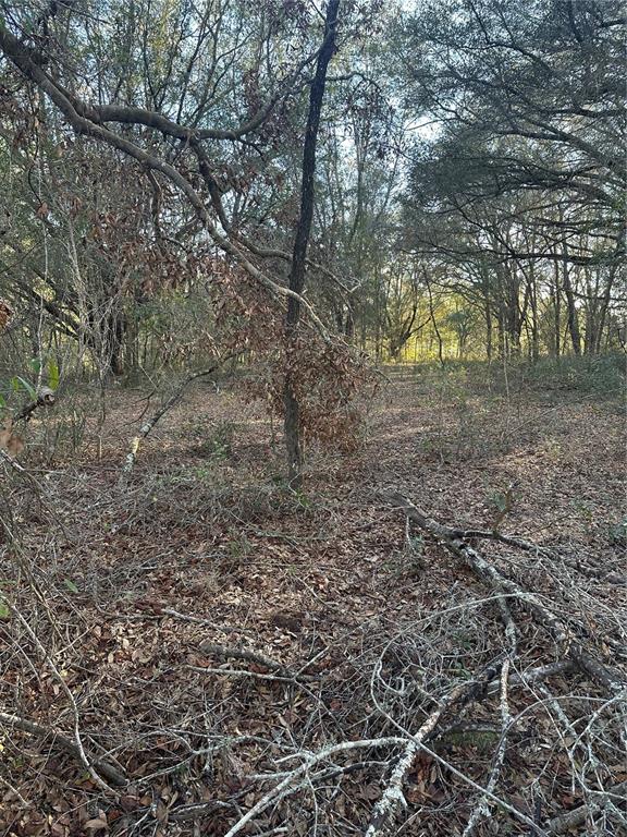 Property for sale at 8276 N ELIDA AVENUE, DUNNELLON, FL, 34434