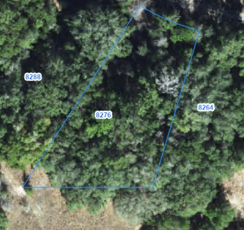 Property for sale at 8276 N ELIDA AVENUE, DUNNELLON, FL, 34434