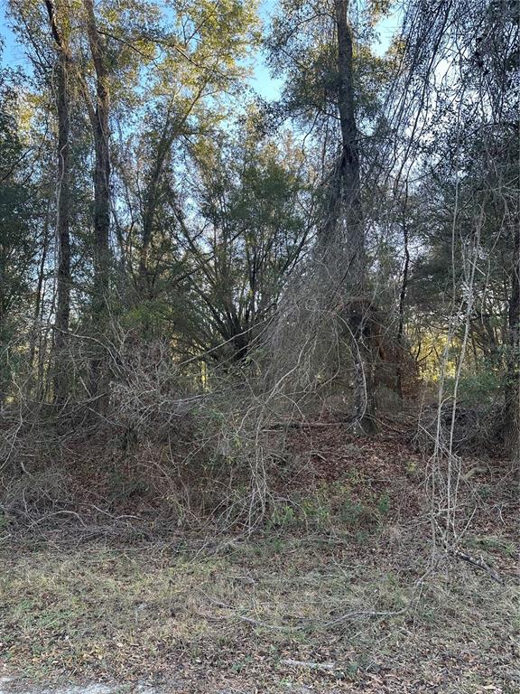 Property for sale at 8276 N ELIDA AVENUE, DUNNELLON, FL, 34434