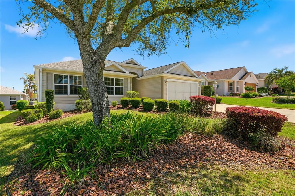 Great Curb Appeal