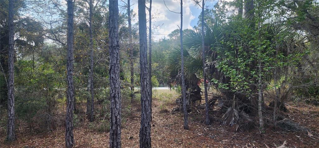 Property for sale at 18164 RETRIEVER ROAD, WEEKI WACHEE, FL, 34614