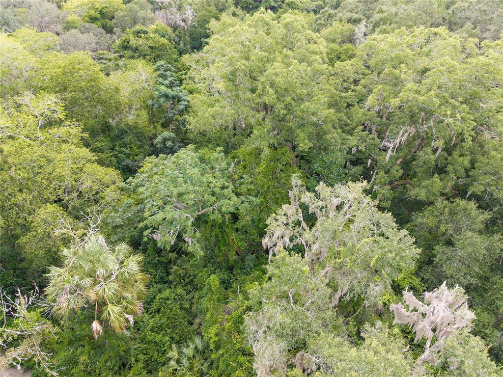 Property for sale at SW 57TH RD, GAINESVILLE, FL, 32608
