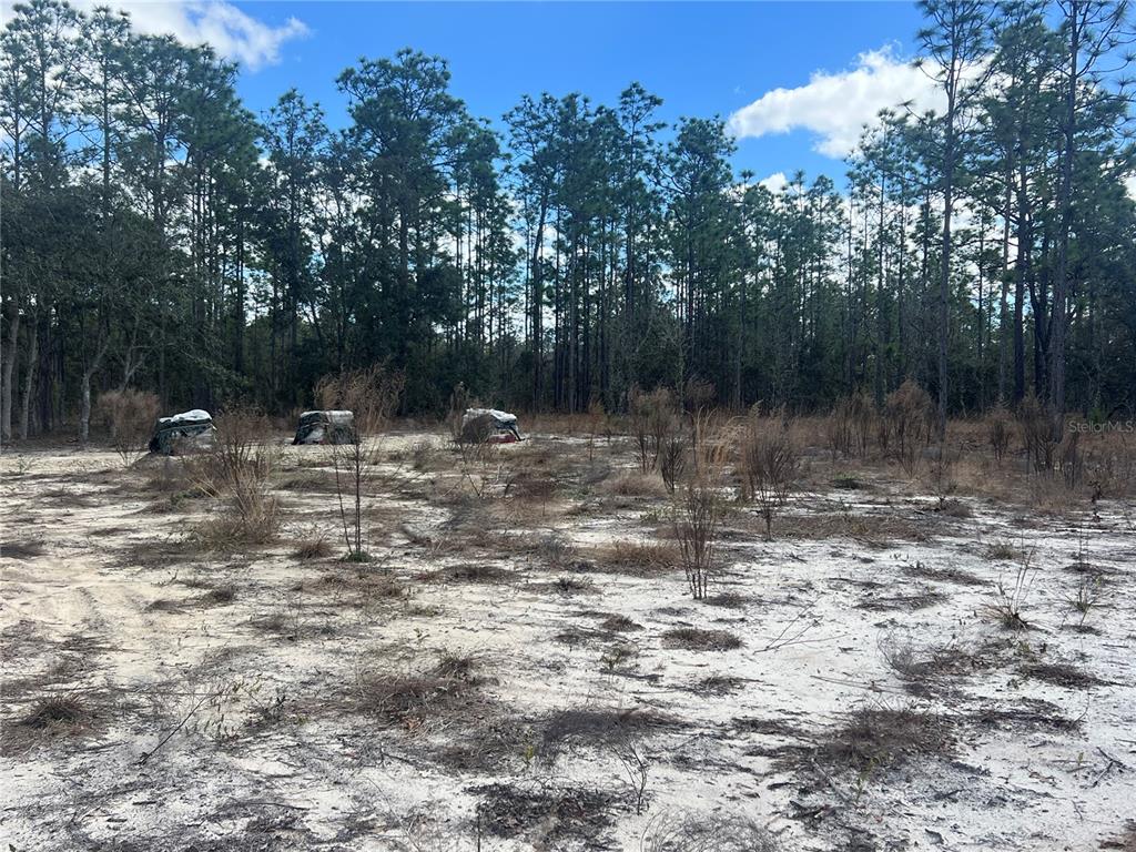 Property for sale at 0000 SE 135TH COURT SE, DUNNELLON, FL, 34431