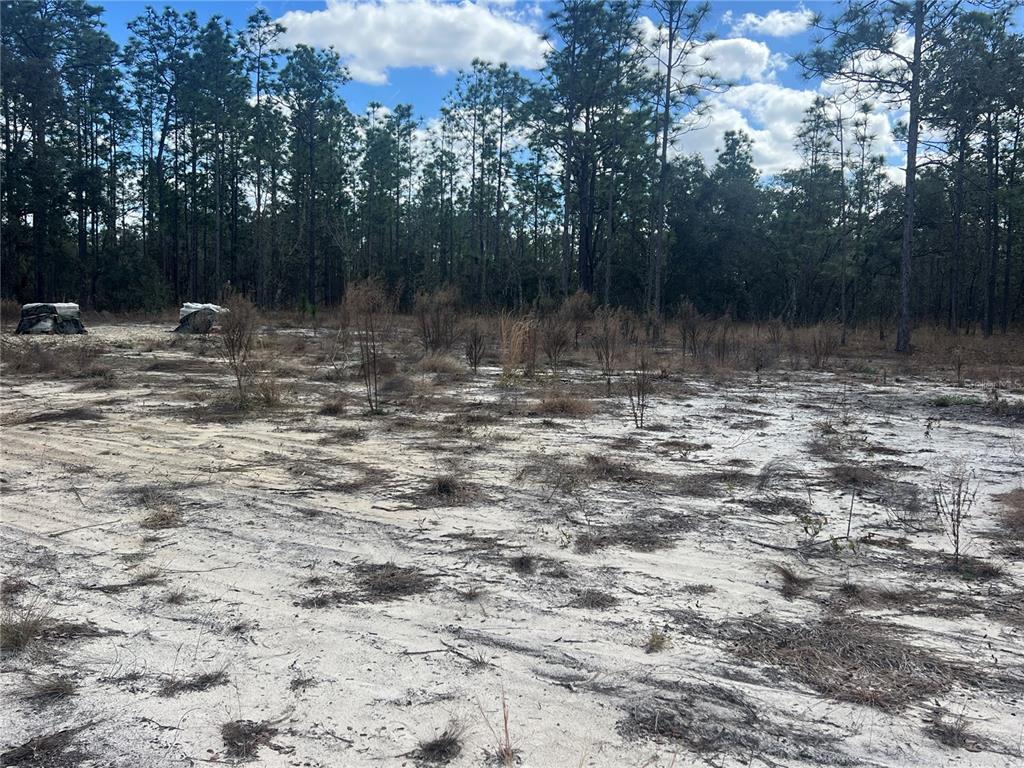 Property for sale at 0000 SE 135TH COURT SE, DUNNELLON, FL, 34431