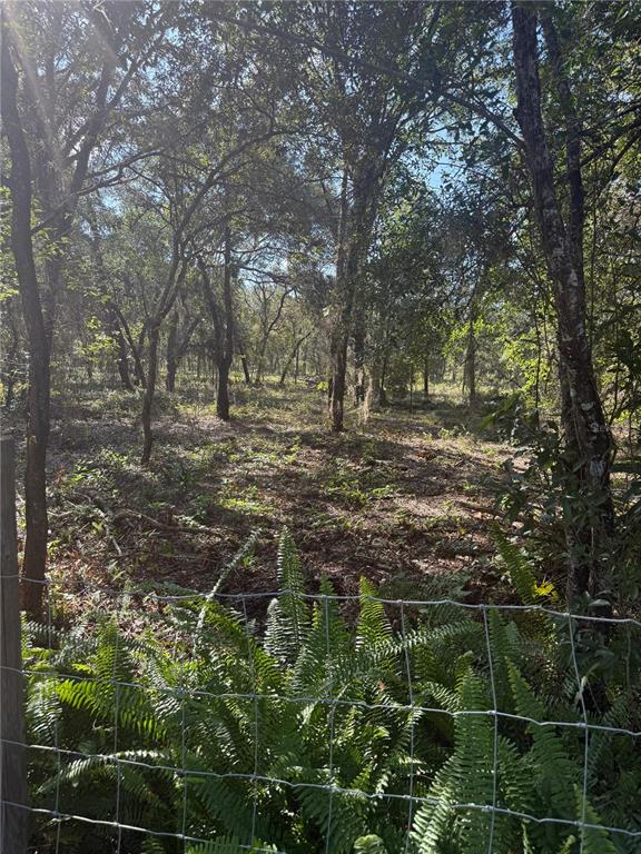 Property for sale at SE 112 PLACE, OCKLAWAHA, FL, 32179