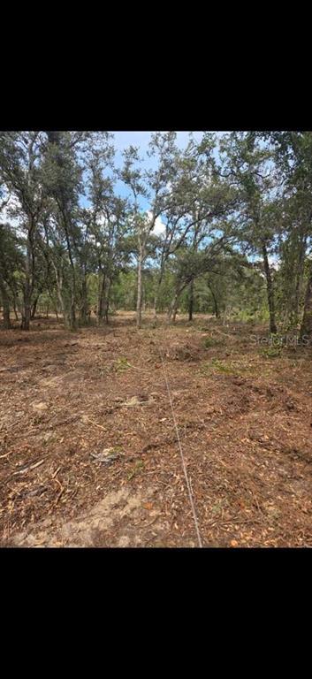 Property for sale at SE 112 PLACE, OCKLAWAHA, FL, 32179
