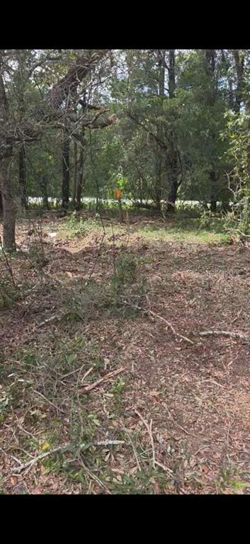 Property for sale at SE 112 PLACE, OCKLAWAHA, FL, 32179