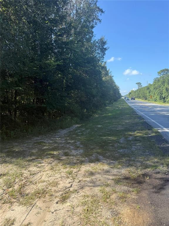 Property for sale at SE 112 PLACE, OCKLAWAHA, FL, 32179