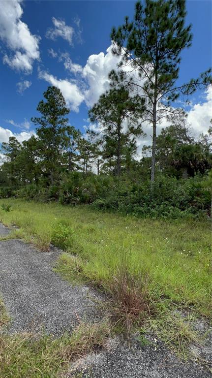 Property for sale at 313 JAMES IRWIN TERRACE, LABELLE, FL, 33935