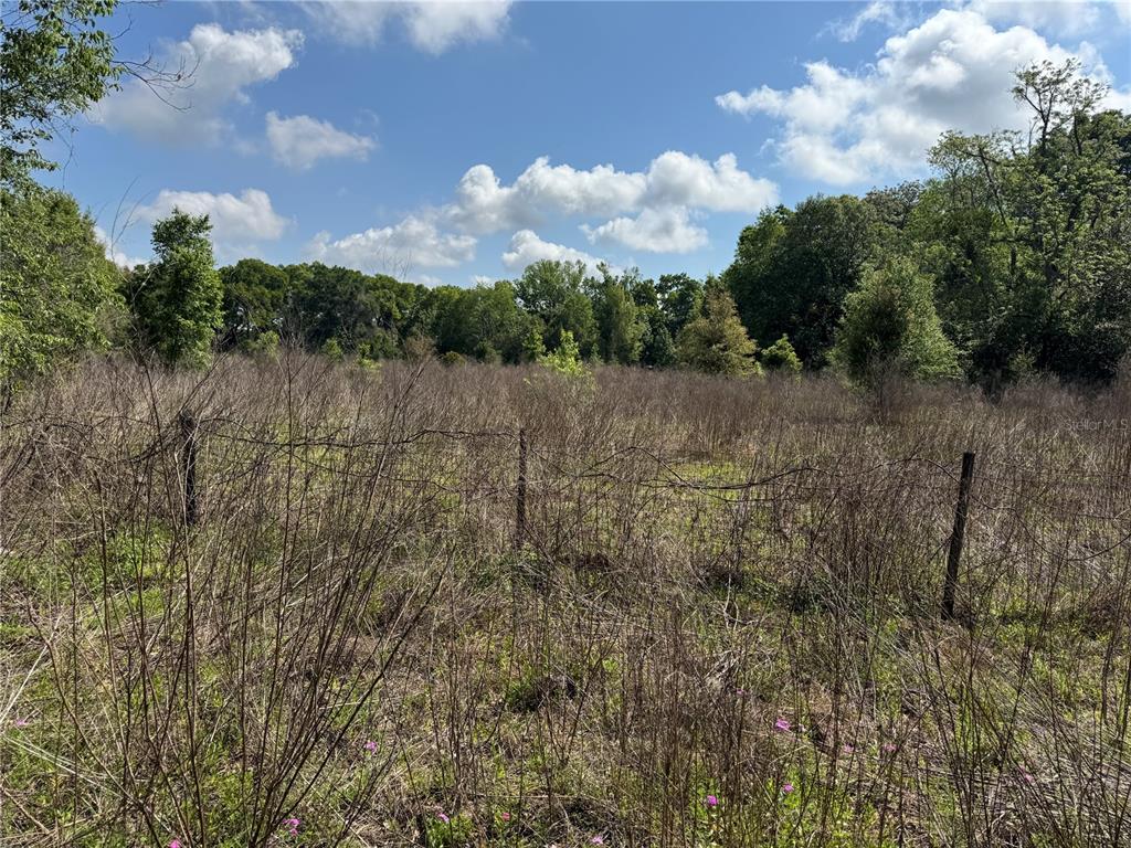 Property for sale at 2551 SW 107TH PLACE, OCALA, FL, 34476