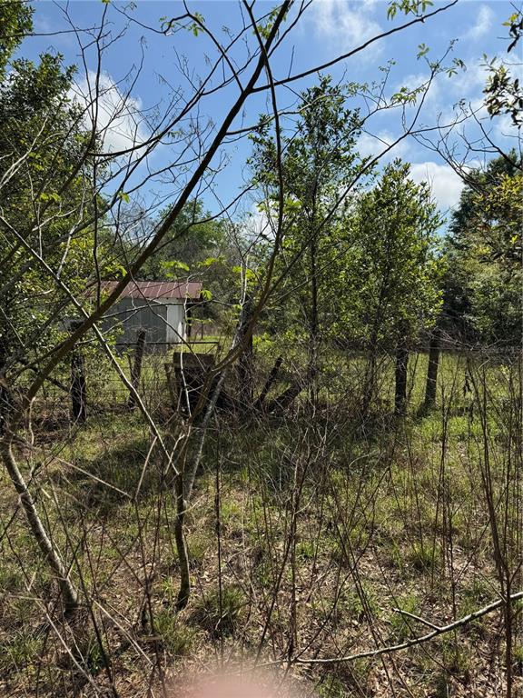 Property for sale at 2551 SW 107TH PLACE, OCALA, FL, 34476
