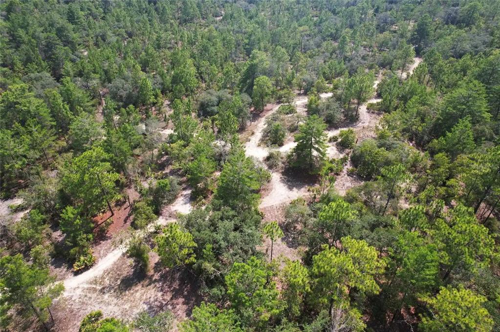 Property for sale at 6496 N BERNZOTT POINT, DUNNELLON, FL, 34433