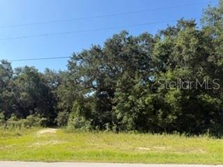 Property for sale at TBD SE 59TH PLACE, OCKLAWAHA, FL, 32179