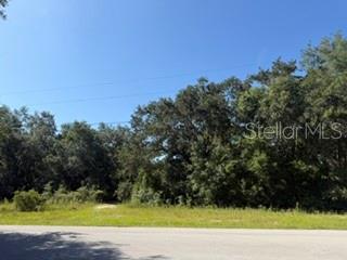 Property for sale at TBD SE 59TH PLACE, OCKLAWAHA, FL, 32179