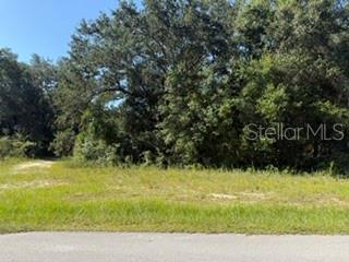 Property for sale at TBD SE 59TH PLACE, OCKLAWAHA, FL, 32179