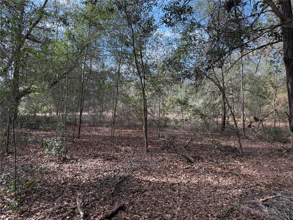 Property for sale at SE 92ND COURT, BELLEVIEW, FL, 34420