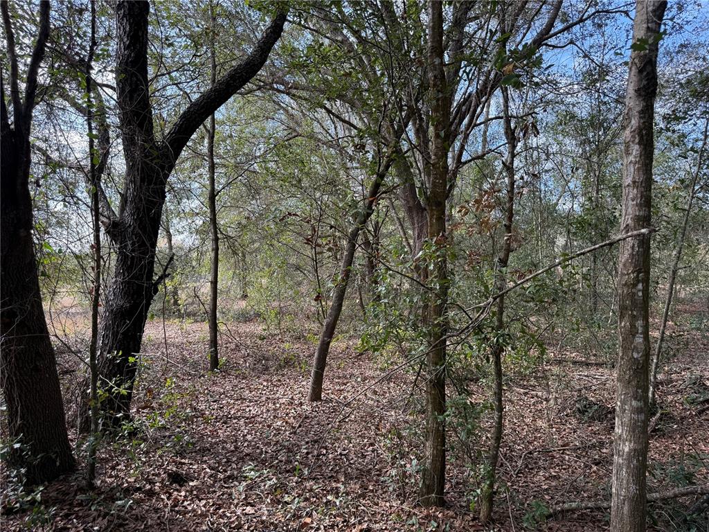 Property for sale at SE 92ND COURT, BELLEVIEW, FL, 34420