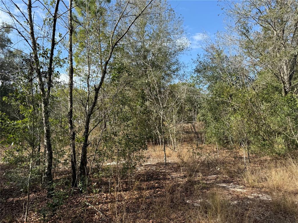 Property for sale at SE 92ND COURT, BELLEVIEW, FL, 34420