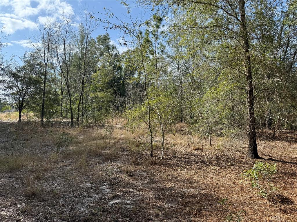 Property for sale at SE 92ND COURT, BELLEVIEW, FL, 34420