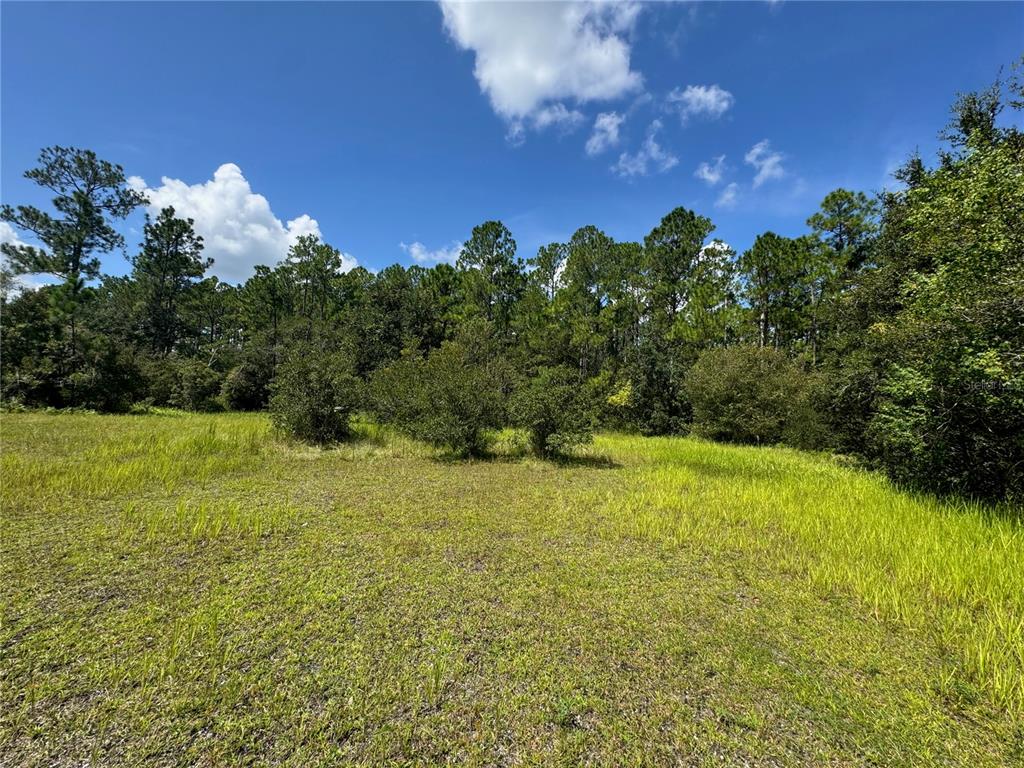 Property for sale at 2750 BIG JOHN DRIVE, DELAND, FL, 32724