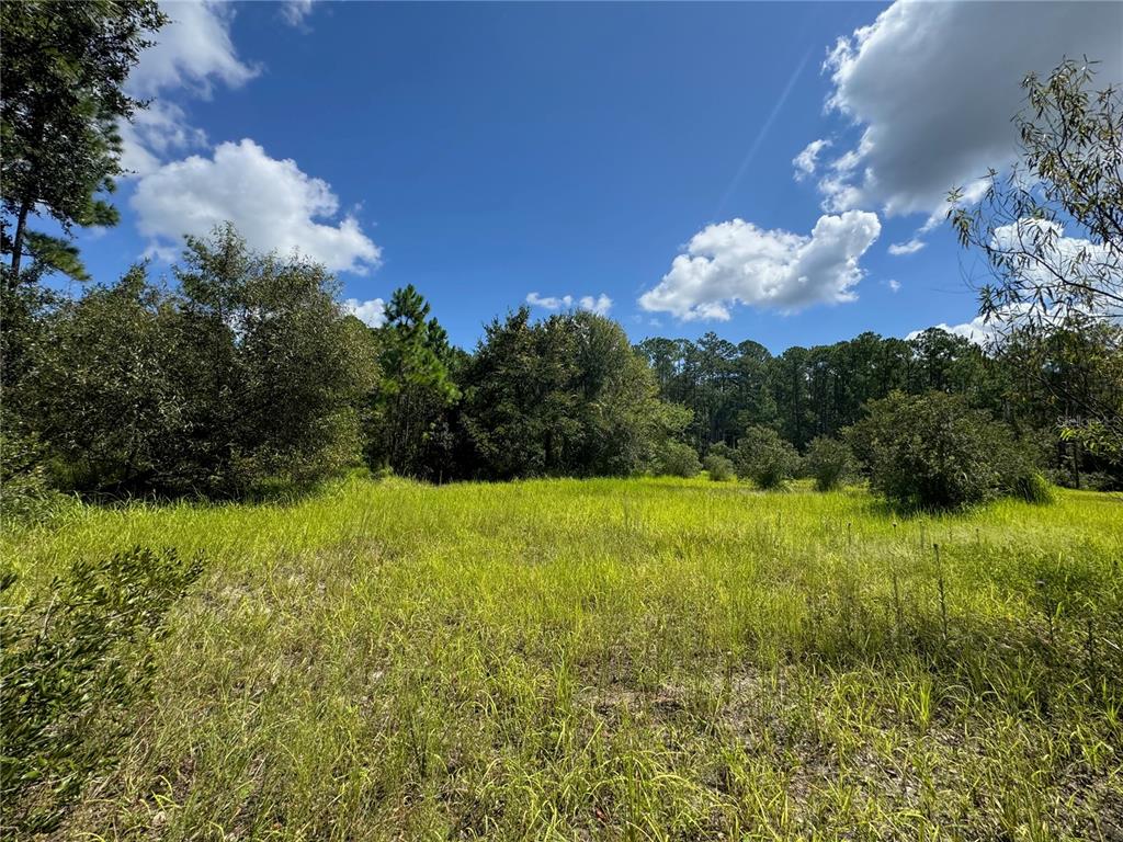Property for sale at 2750 BIG JOHN DRIVE, DELAND, FL, 32724