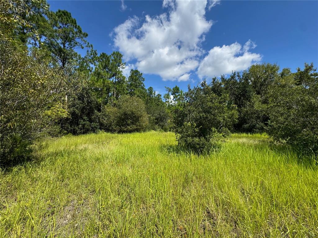 Property for sale at 2750 BIG JOHN DRIVE, DELAND, FL, 32724