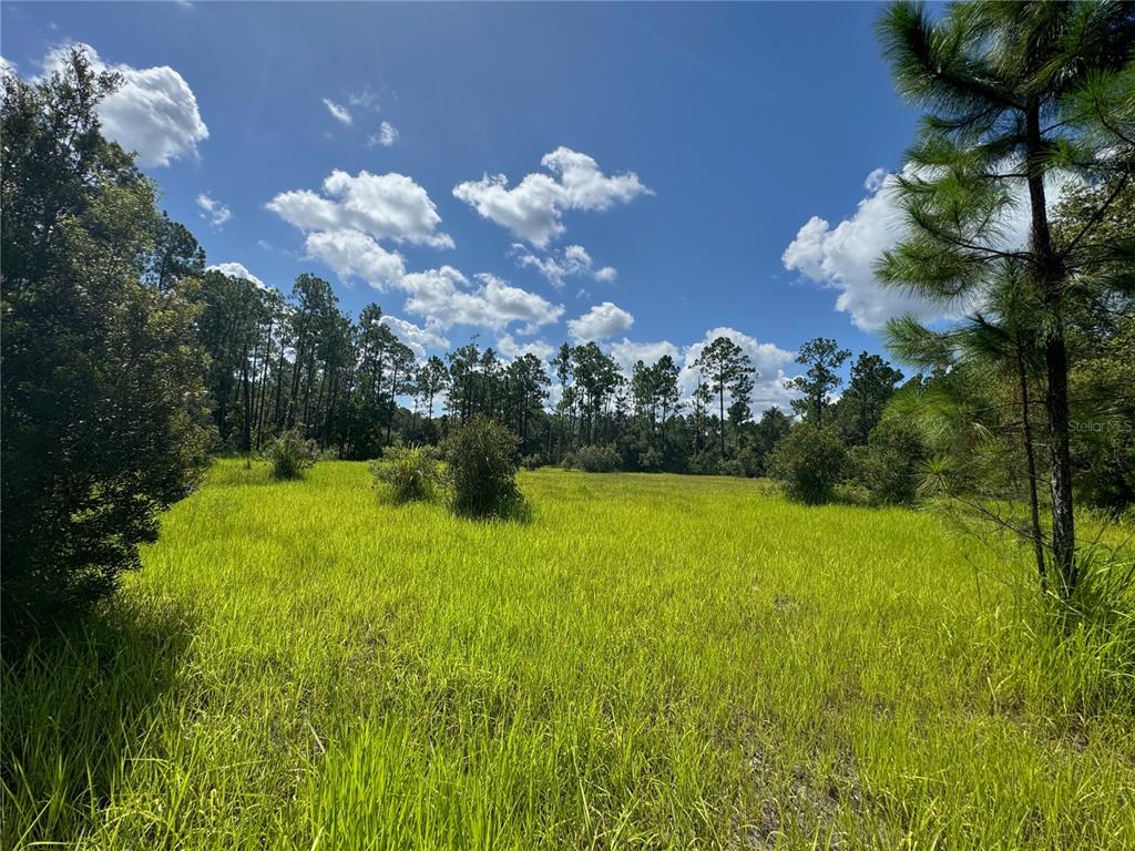 Property for sale at 2750 BIG JOHN DRIVE, DELAND, FL, 32724