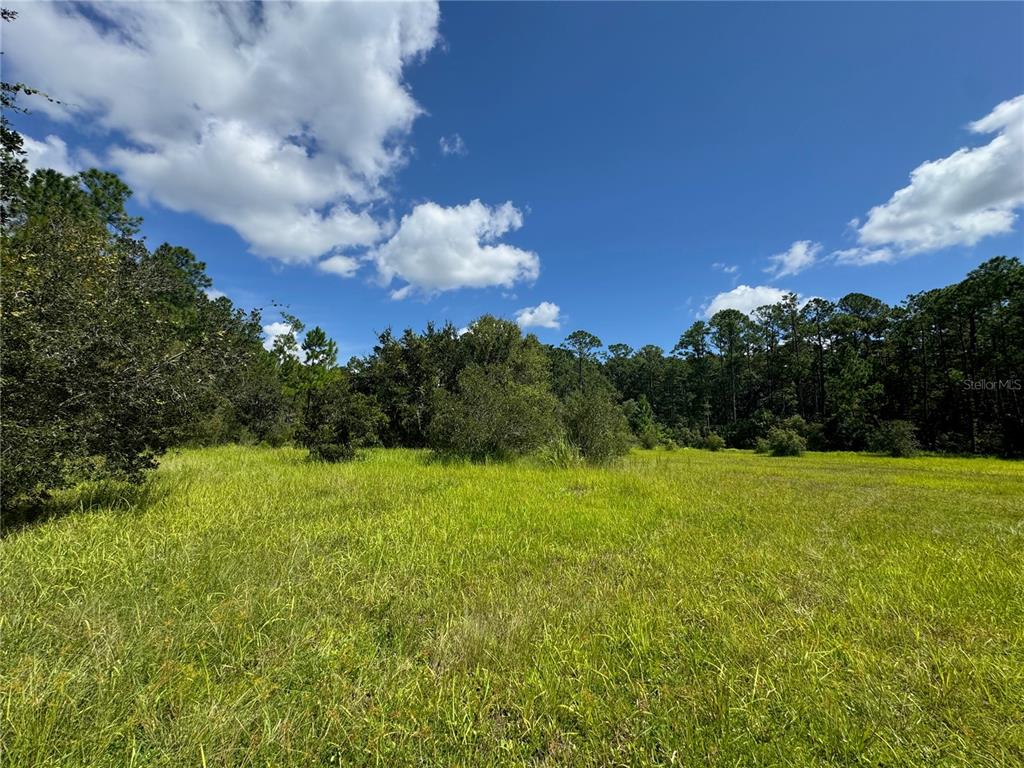 Property for sale at 2750 BIG JOHN DRIVE, DELAND, FL, 32724