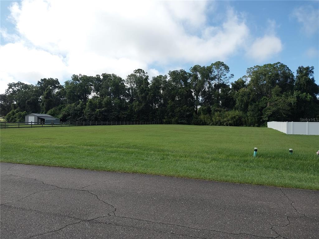 Property for sale at SW 5TH AVENUE, WILLISTON, FL, 32696