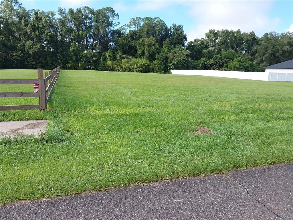 Property for sale at SW 5TH AVENUE, WILLISTON, FL, 32696