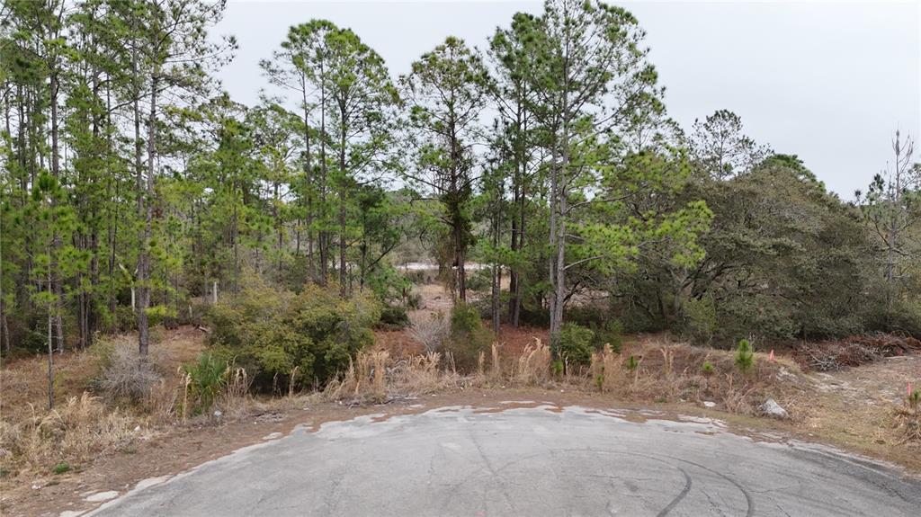 Property for sale at 1255 WAHNETA DRIVE, KISSIMMEE, FL, 34759