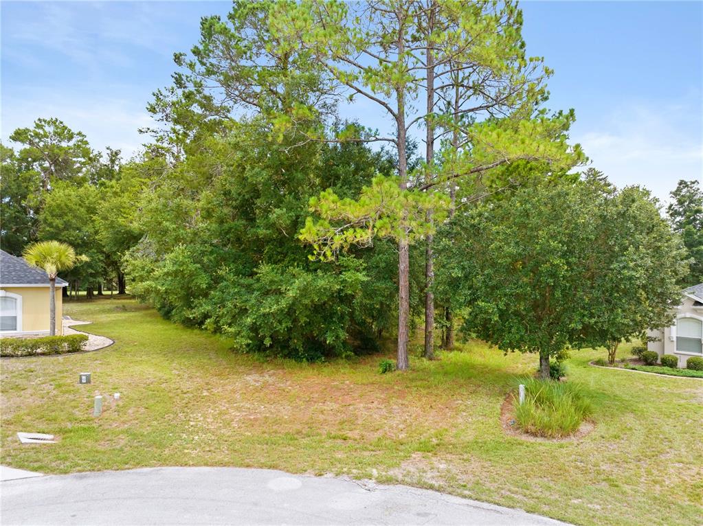 Property for sale at 17 WOODLEE COURT S, HOMOSASSA, FL, 34446
