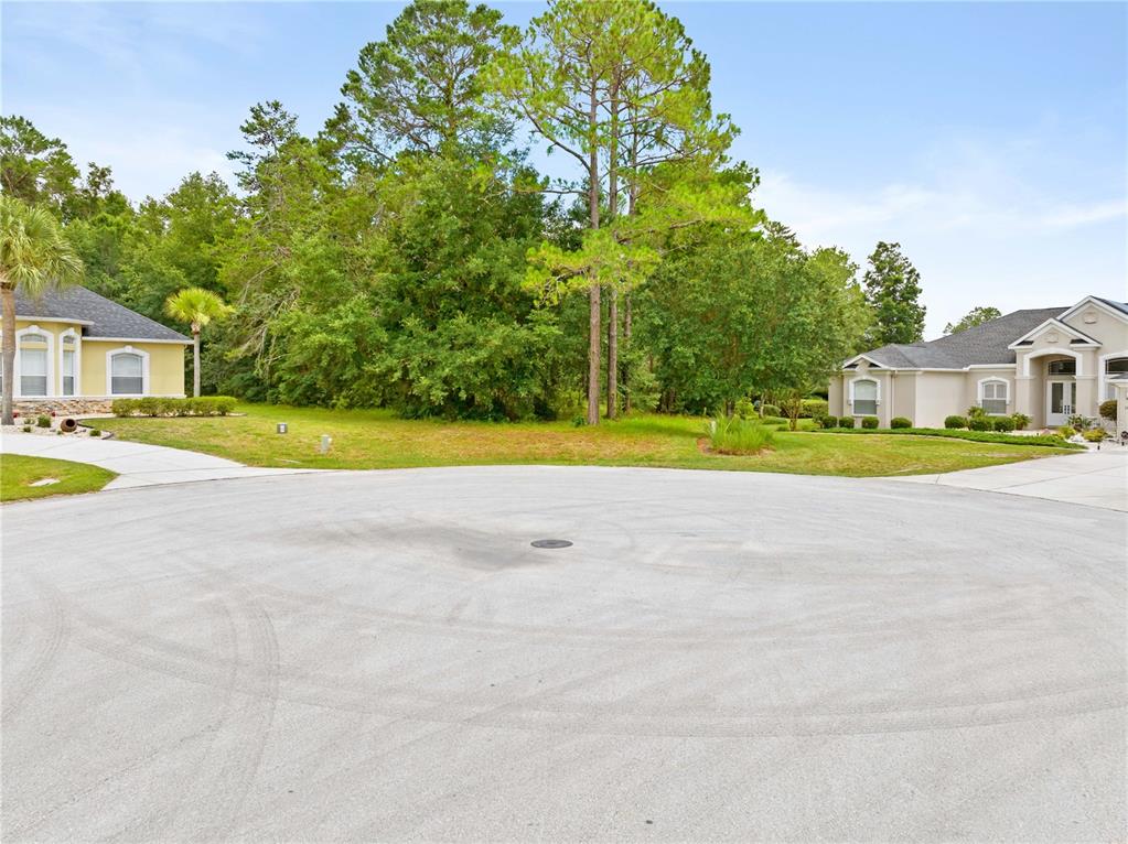 Property for sale at 17 WOODLEE COURT S, HOMOSASSA, FL, 34446