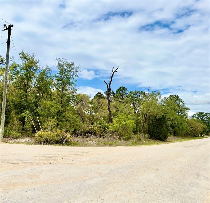 Property for sale at MOUNTAIN MOCKINGBIRD ROAD, WEEKI WACHEE, FL, 34614