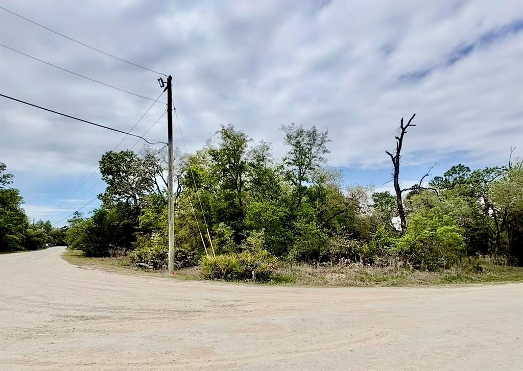 Property for sale at MOUNTAIN MOCKINGBIRD ROAD, WEEKI WACHEE, FL, 34614