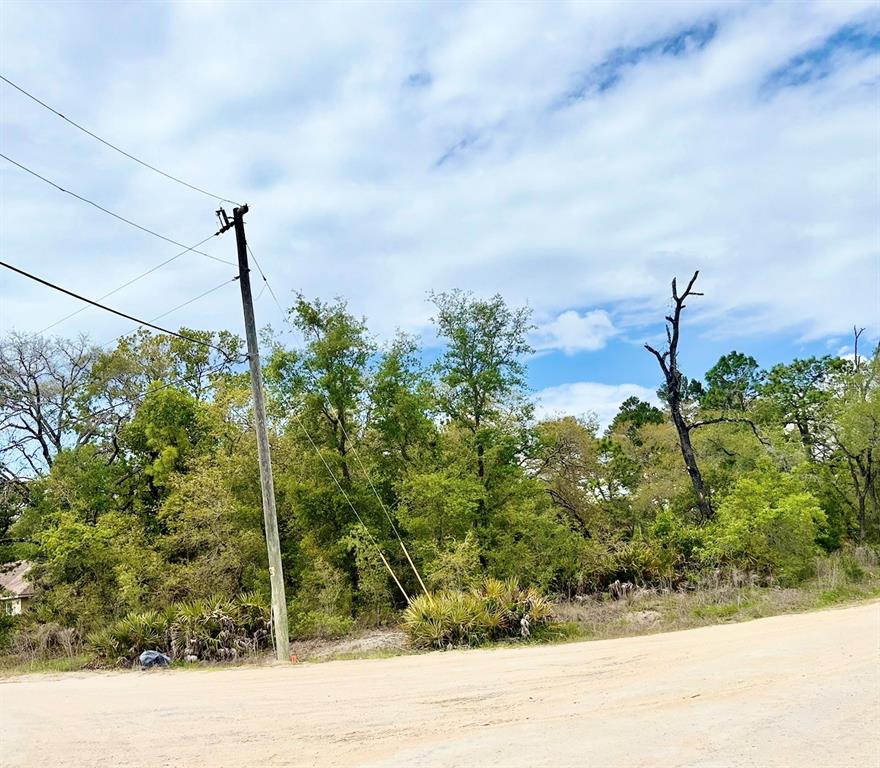 Property for sale at MOUNTAIN MOCKINGBIRD ROAD, WEEKI WACHEE, FL, 34614