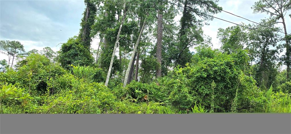 Property for sale at 10TH AVENUE, DELAND, FL, 32724