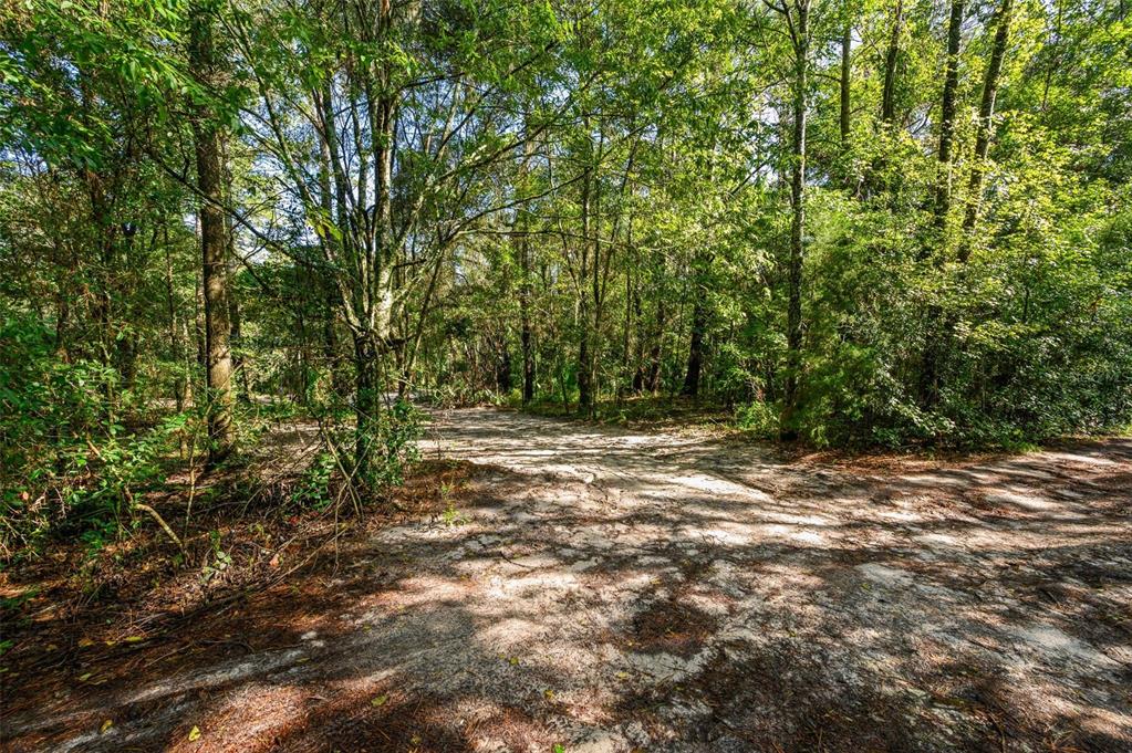 Property for sale at 3426 SE 185TH AVENUE, MICANOPY, FL, 32667