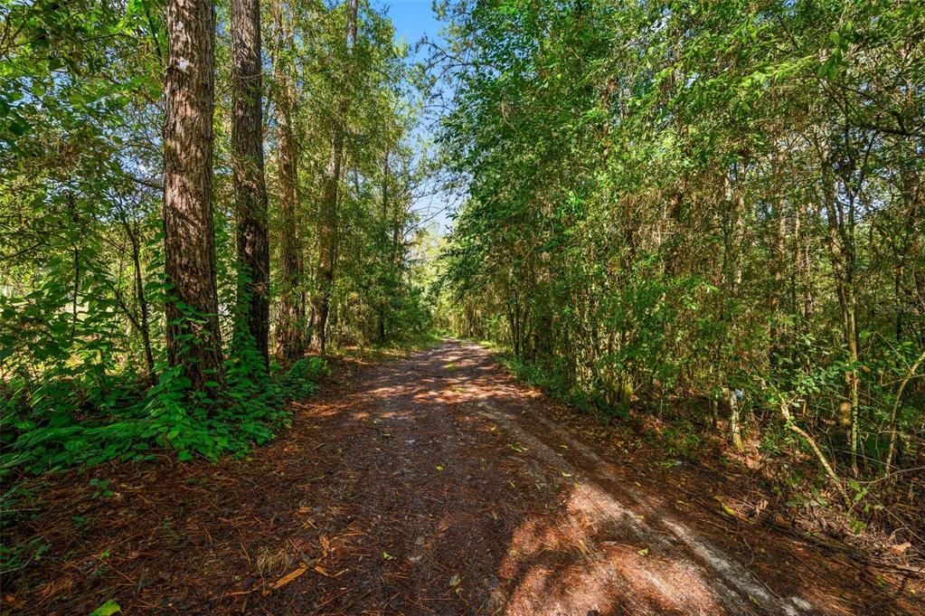 Property for sale at 3426 SE 185TH AVENUE, MICANOPY, FL, 32667