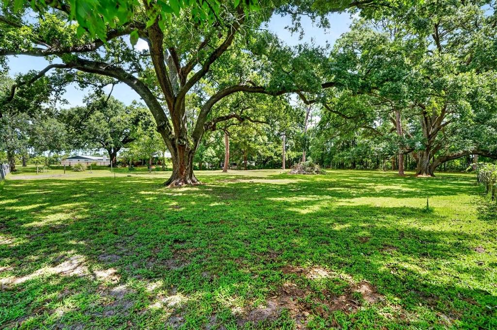 Property for sale at 779 TIMOTHY STREET, ORMOND BEACH, FL, 32174