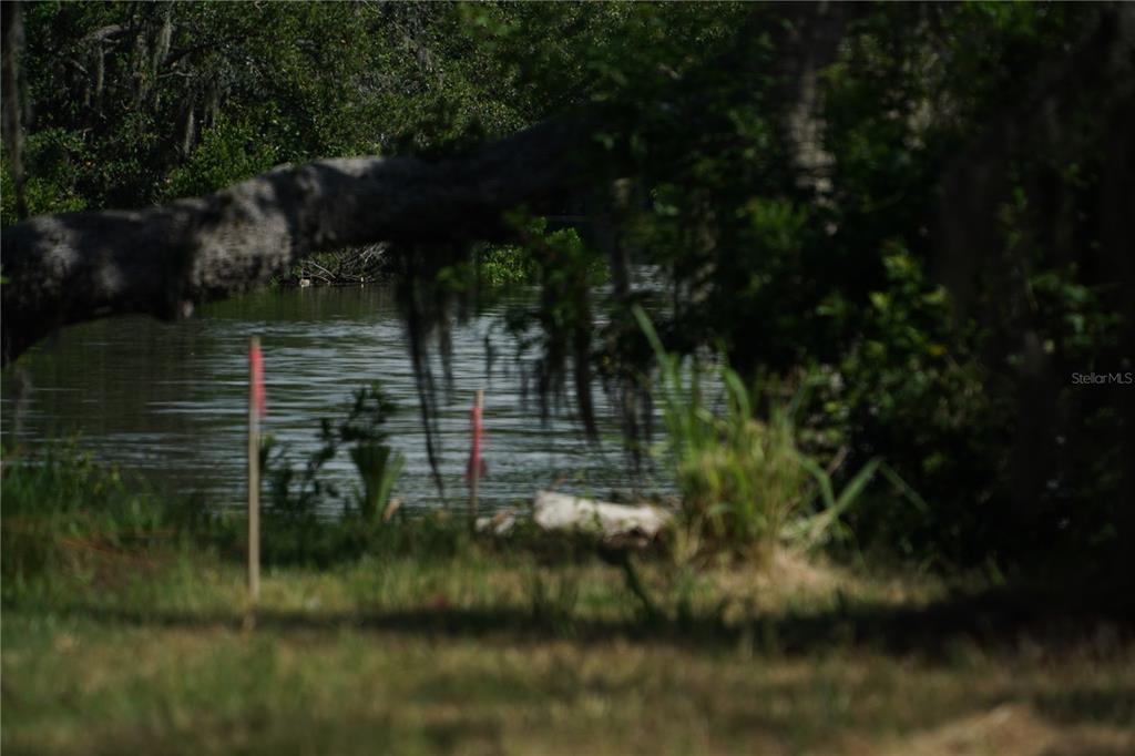 Property for sale at TIBERIUS TRAIL, NEW PORT RICHEY, FL, 34652