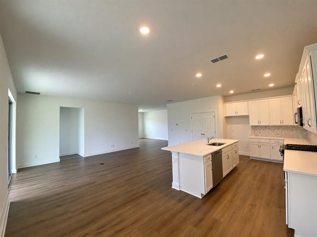 Kitchen & Great Room