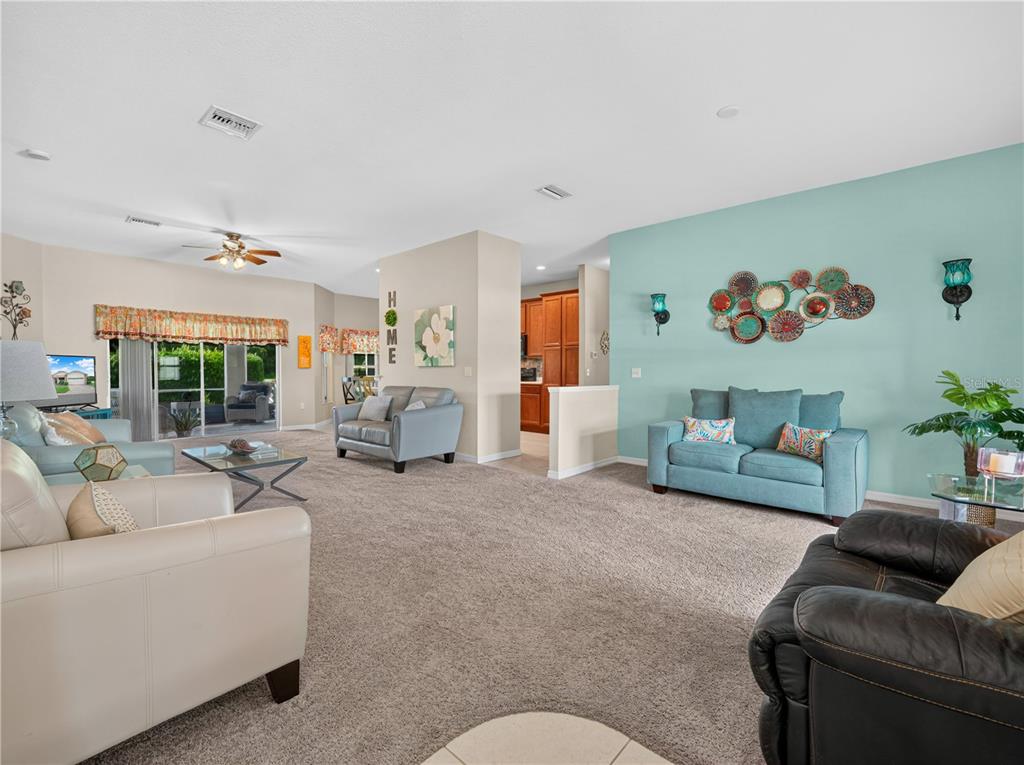View from Front Door. Imagine your Formal Dining Table to the Right in this Room