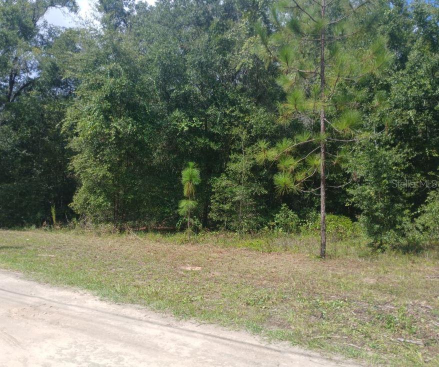 Property for sale at NW 52ND AVENUE, OCALA, FL, 34482