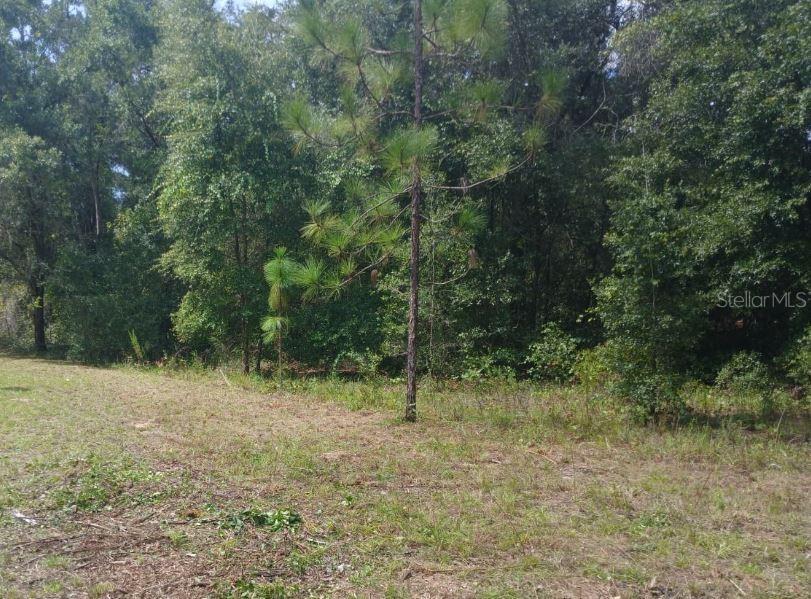 Property for sale at NW 52ND AVENUE, OCALA, FL, 34482