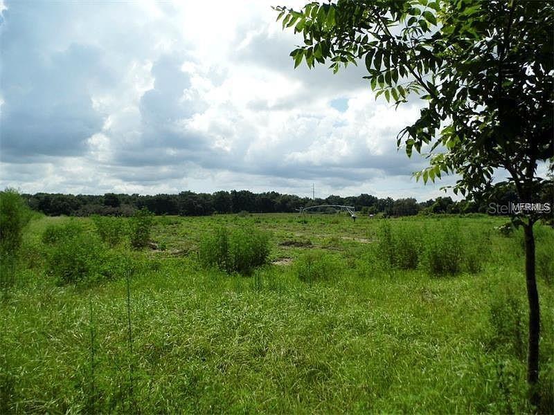 Property for sale at 10201 TIMMONS ROAD, THONOTOSASSA, FL, 33592