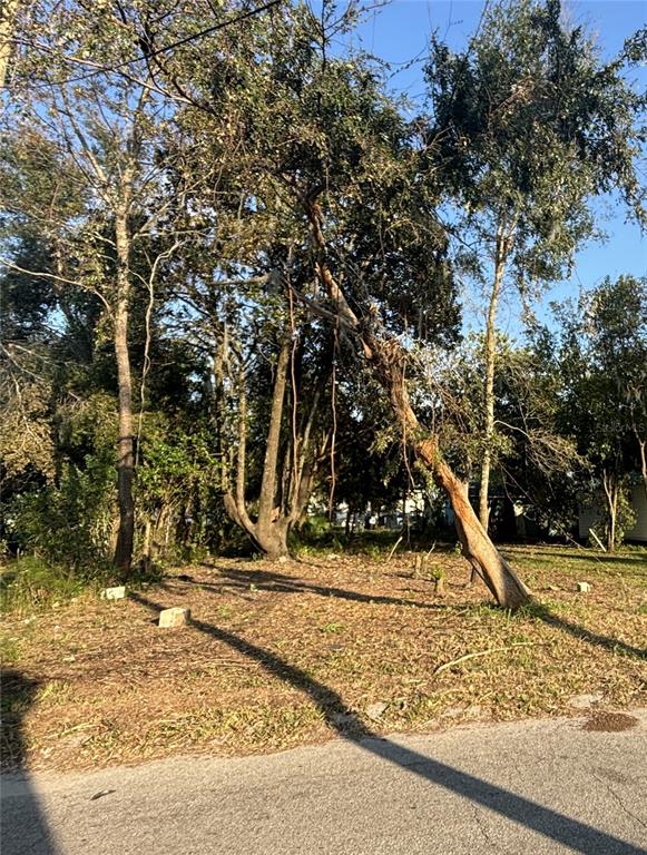 Property for sale at 14530 6TH STREET, DADE CITY, FL, 33523