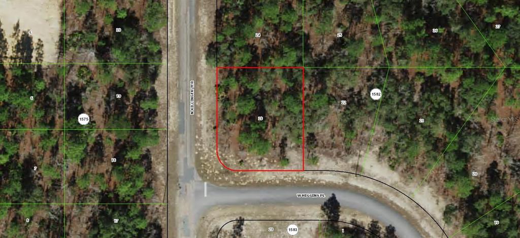 Property for sale at 3299 W HIGGINS PLACE, CITRUS SPRINGS, FL, 34433