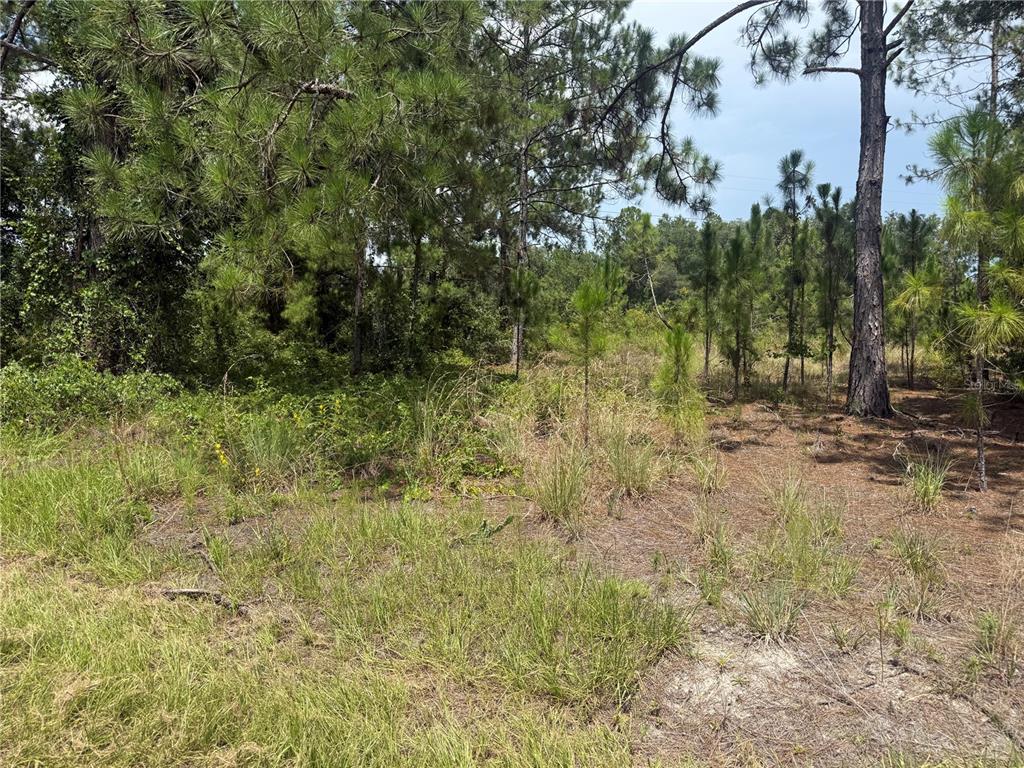 Property for sale at LOCUST CRS, OCALA, FL, 34472